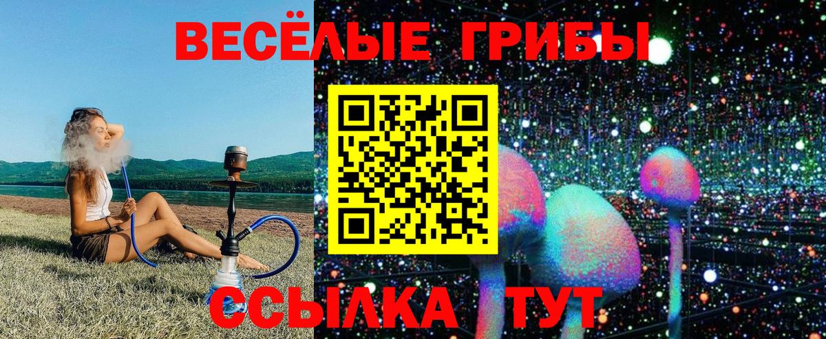 Фурманов  Псилоцибиновые грибы ЛСД  Вход с VPN 
